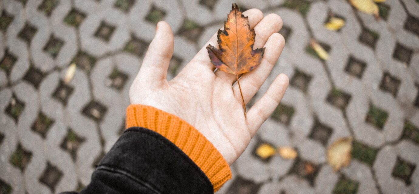 women holding a fall leaf