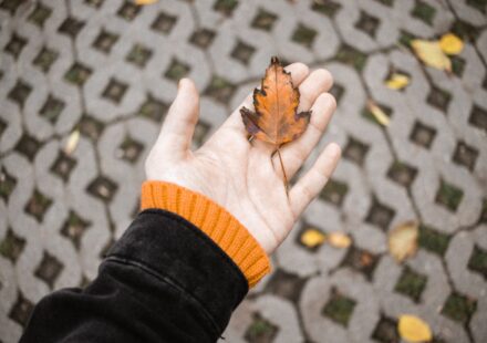 women holding a fall leaf