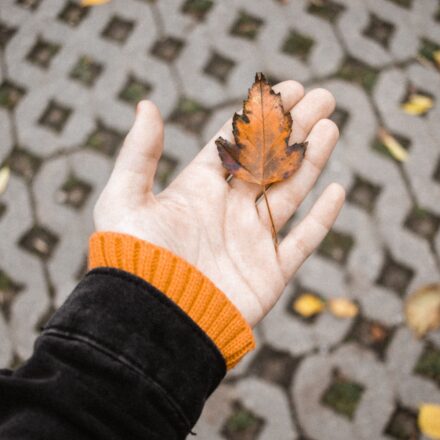 women holding a fall leaf