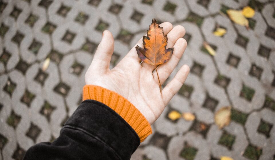 women holding a fall leaf